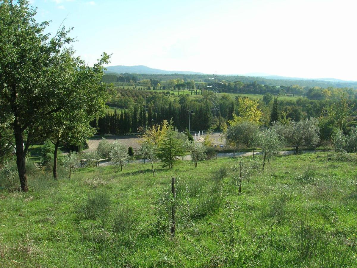 Bed and Breakfast Casale Sant'Elia Capranica Zewnętrze zdjęcie